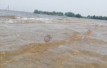 সুনামগঞ্জে ফের বাড়ছে নদ-নদীর পানি