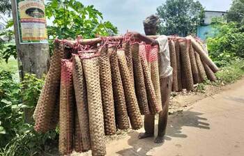 রূপগঞ্জের কুঁচিয়া যাচ্ছে বিদেশে