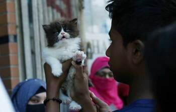 কী আছে বনশ্রীর মেরাদিয়া হাটে?