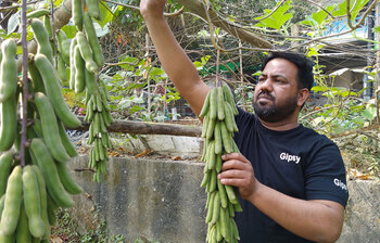 পরিত্যক্ত জমিতে সবজি চাষে সফল রিপন