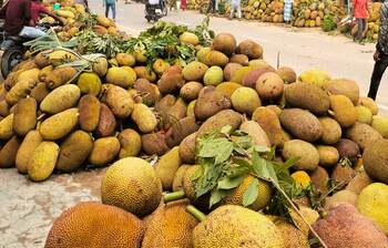 কাঁঠালে ঠাসা খাগড়াছড়ির হাট-বাজার