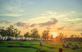 সবুজে ঘেরা গুলিয়াখালী সমুদ্রসৈকত