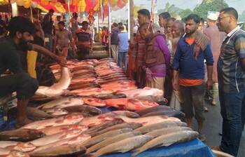 নবান্ন উৎসবে মাছের মেলা