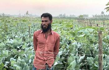 ফুলকপি-লাউয়ের মিশ্র চাষে স্বাবলম্বী আনিস