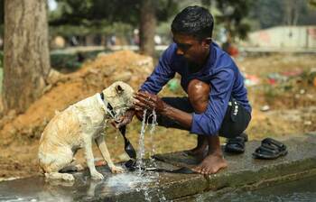 নিঃস্বার্থ ভালোবাসা