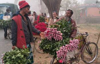 কম দামে হতাশ গদখালীর ফুল চাষিরা