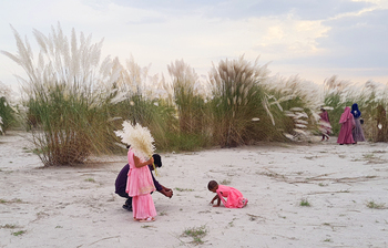 কাশফুলের নয়নাভিরাম সৌন্দর্য