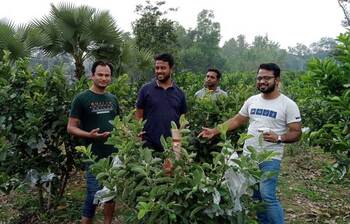 মিশ্র ফলের বাগানে সফল ৩ বন্ধু