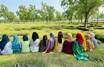 এ যেন সবুজ ঘসের বিছানা