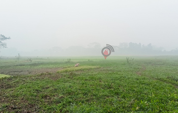 শীত জেঁকে বসেছে শরীয়তপুরে
