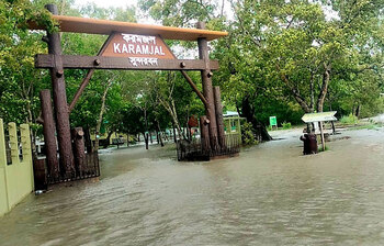 তলিয়ে গেছে সুন্দরবন