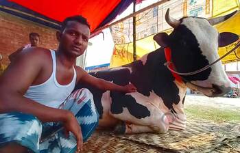 ভাটারা হাটে পাবনার পর্বত