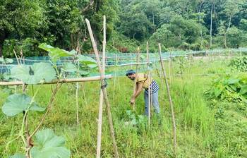 শীতকালীন সবজি চাষে ব্যস্ত কৃষকেরা