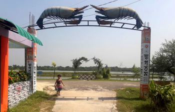 নতুন রূপে সেজেছে মিনি সুন্দরবন