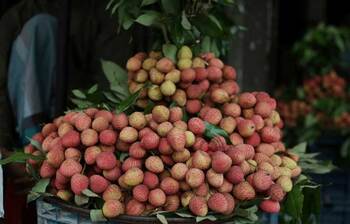 লিচুতে ভরপুর বাজার