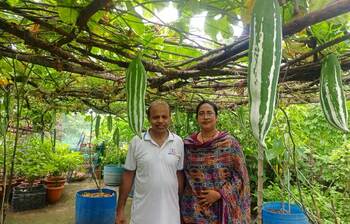 ফল-সবজিতে ভরপুর অধ্যাপকের ছাদ বাগান
