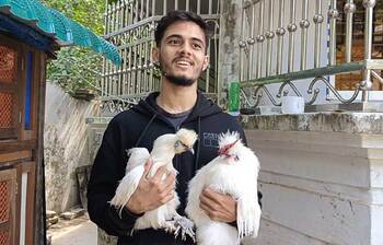 বিদেশি মুরগি পালনে অন্তরের উত্থান