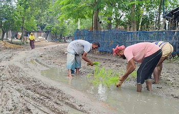 ১৭ বছরেও সংস্কার হয়নি রাস্তা, ধানে ভরসা রাখলেন এলাকাবাসী