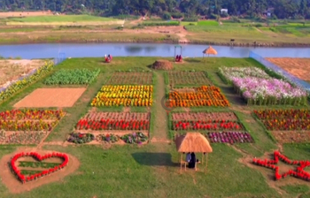 ফ্লাওয়ার লেকের এক ঝলক