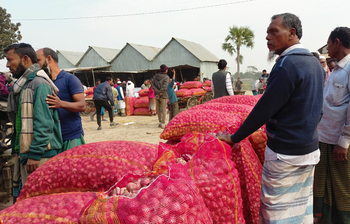 জমজমাট শরীয়তপুরের পেঁয়াজের হাট