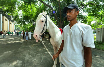 রাজধানীতে প্রাণী ও প্রাণের মেলা