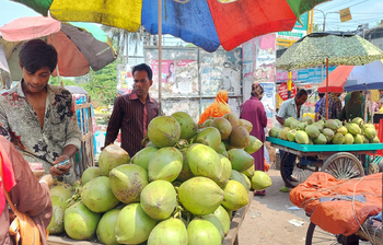 তাপপ্রবাহের সঙ্গে পাল্লা দিয়ে বেড়েছে ডাবের দাম