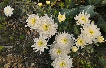 আজকের আলোচিত ছবি: ১২ ফেব্রুয়ারি ২০২৪