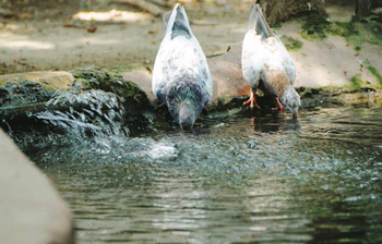 আজকের আলোচিত ছবি: ২৮ এপ্রিল ২০২৪