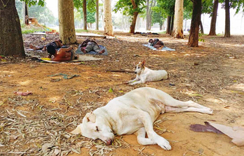 আজকের আলোচিত ছবি: ০৪ মে ২০২৪