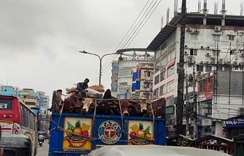 জমতে শুরু করেছে রাজধানীর পশুর হাট