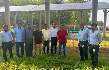 বিদ্যুৎকেন্দ্রের অব্যবহৃত জমিতে সবজি চাষ