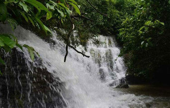 নান্দনিক সহস্রধারা ঝরনা