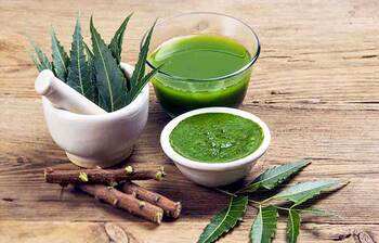 নানা গুণে ভরপুর নিমপাতা