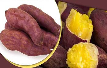 ক্যানসার ঝুঁকি কমায় মিষ্টি আলু