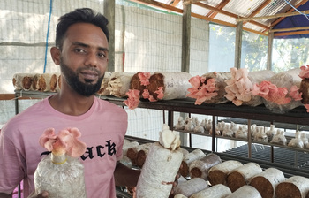 মাশরুম চাষে সফল নারায়ণগঞ্জের হাসিব