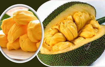 কাঁঠাল খাওয়ার ৫ উপকারিতা