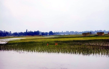 আজকের আলোচিত ছবি: ০৪ আগস্ট ২০২৫