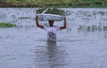 আজকের আলোচিত ছবি: ১৬ আগস্ট ২০২৫