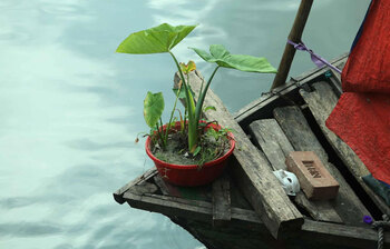 ছবিতে তুরাগের ঢেউয়ে ভেসে থাকা জীবনের গল্প