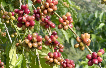 আজকের আলোচিত ছবি: ১৫ ফেব্রুয়ারি ২০২৪