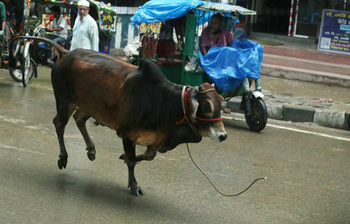 আজকের আলোচিত ছবি: ৫ জুন ২০২৫