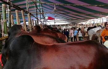 আজকের আলোচিত ছবি: ২৭ জুন ২০২৩