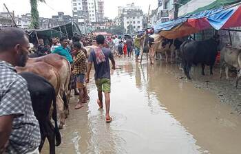 আজকের আলোচিত ছবি: ২৮ জুন ২০২৩