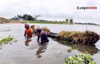 আজকের আলোচিত ছবি: ৪ মে ২০২৬