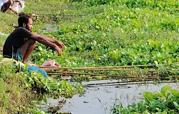 বড়শির টানে বর্ষার জলাশয়ে