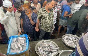 ফ্রেমবন্দি ফরিদপুরের ইলিশের মেলা