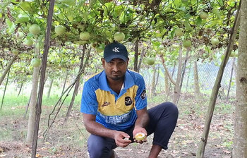 প্যাশন ফ্রুট চাষে সফল স্টালিন