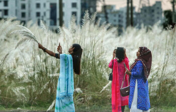 শরতের বার্তা নিয়ে শহরতলীতে কাশফুলের মেলা
