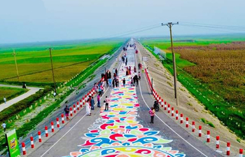 আলপনায় সেজেছে হাওরের পথঘাট