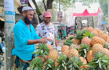 লক্ষ্মীপুরে বেড়েছে আনারস-শরবত বিক্রি